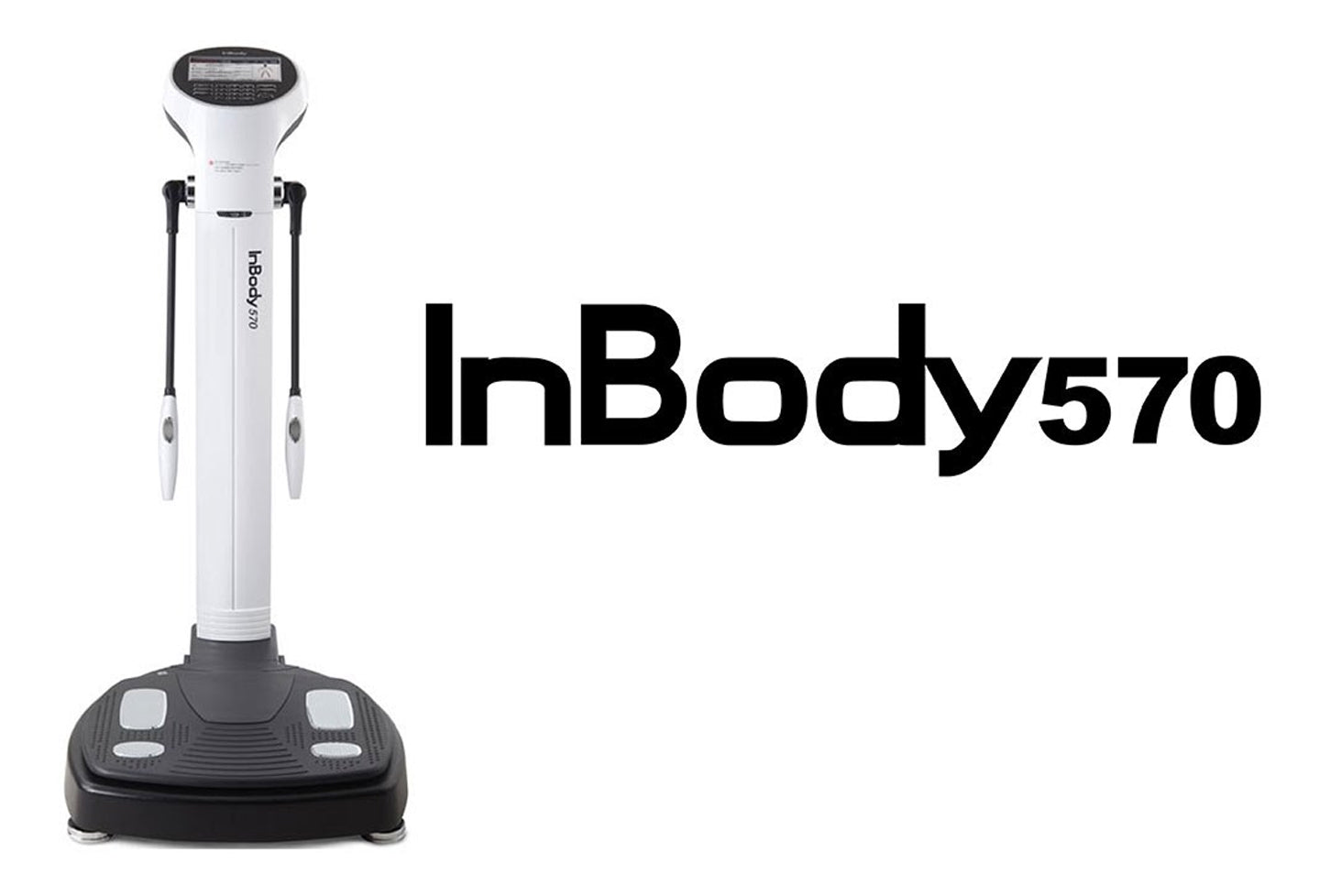 Inbody 570 Body Scans